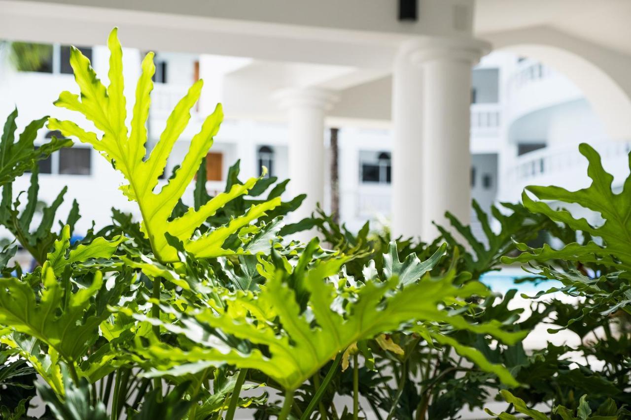 Ocean Palms Residences Cabarete Dış mekan fotoğraf